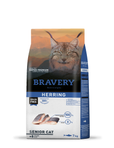 Bravery Herring Senior Cat